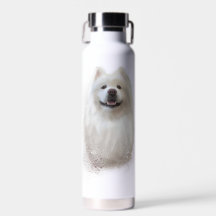 Ari the Samoyed collection