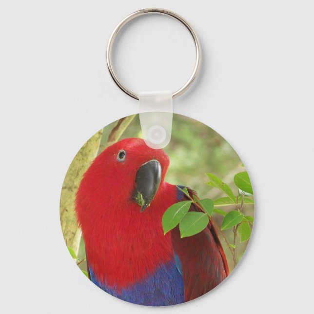 Aria Grand Eclectus Parrot Key Ring (Front)