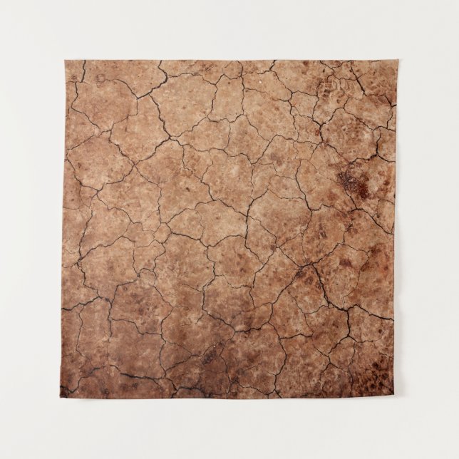 Arid cracked erosion cracks desert tapestry (Front)