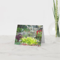 Arid Garden Photo Folded Note Card