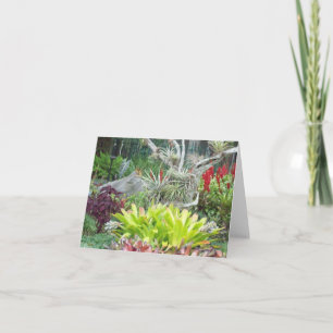 Arid Garden Photo Folded Note Card