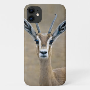 Ariel iPhone 11 Case