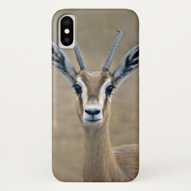Ariel iPhone X Case (Back)