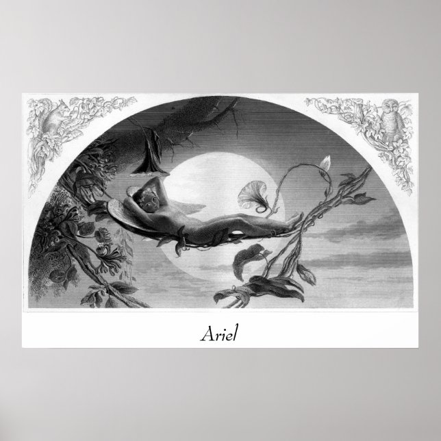 Ariel Poster (Front)