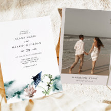 ARIEL Tropical Ocean Coral Manta Ray Beach Photo