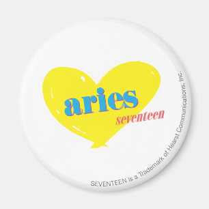 Aries 3 magnet