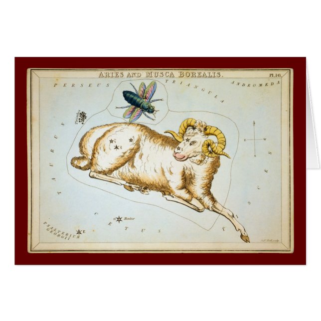 Aries and Musca Borealis (Front Horizontal)