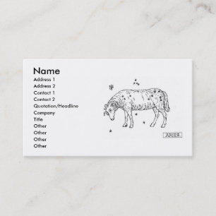 Aries Business Card