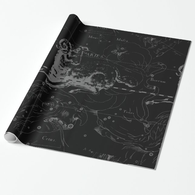 Aries Constellation Hevelius Vintage on Black Wrapping Paper (Unrolled)