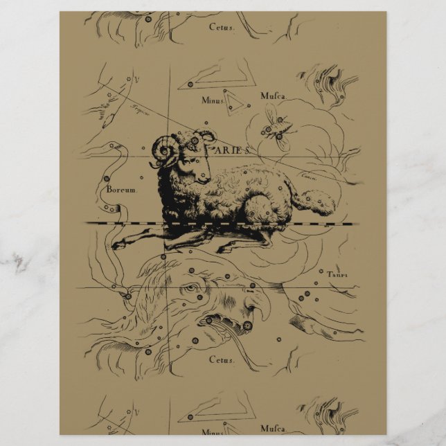 Aries Constellation Map Hevelius 1690 (Front)