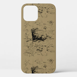 Aries Constellation Map Hevelius 1690 iPhone 12 Case