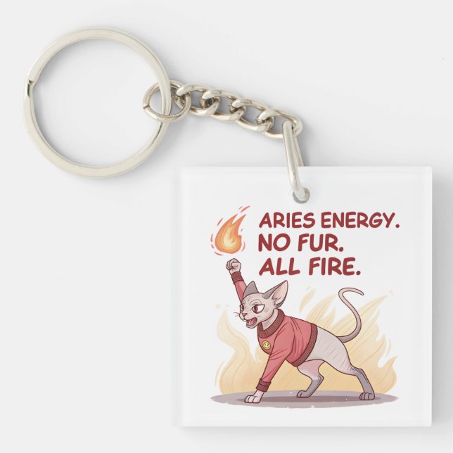 Aries Energy Sphynx Cat No Fur All Fire Art Key Ring (Front)
