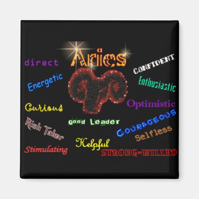 ARIES Magnet (Front)