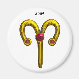 ARIES MAGNET