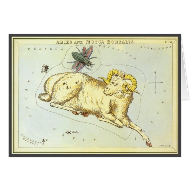 Aries Ram, Vintage Constellation, Urania's Mirror (Front Horizontal)
