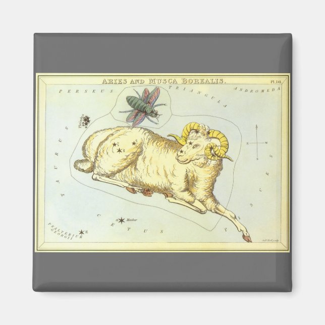 Aries Ram, Vintage Constellation, Urania's Mirror Magnet (Front)