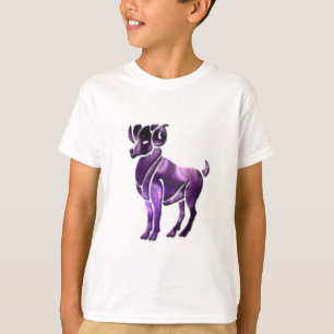 Aries Sign Sweatshirt T-Shirt