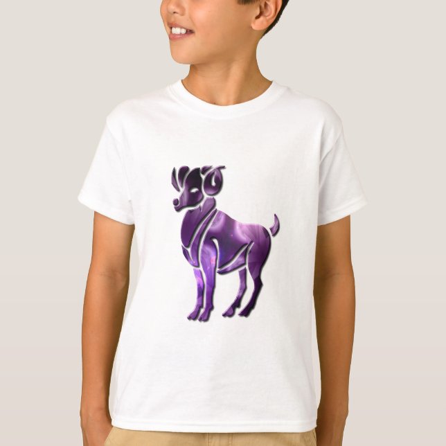 Aries Sign Sweatshirt T-Shirt (Front)