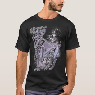 Aries T Shirt