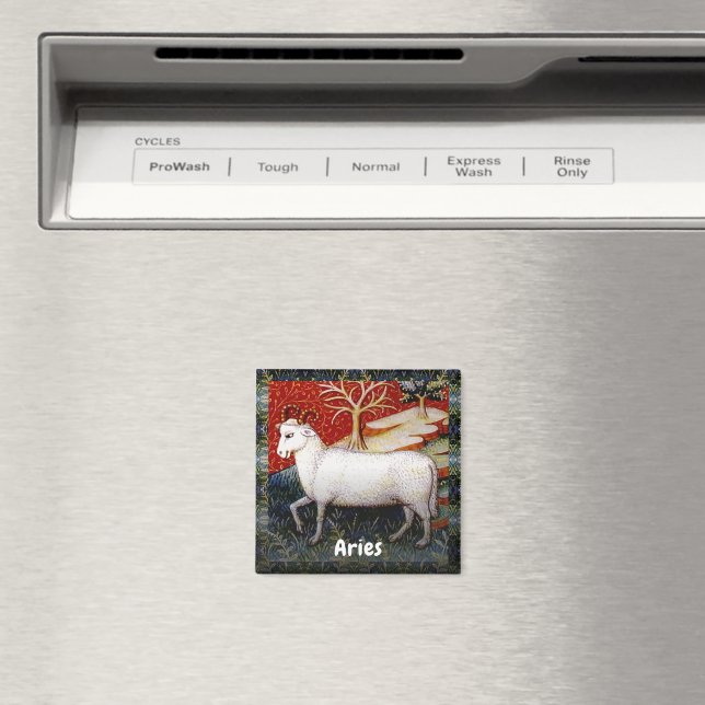 Aries the Ram Zodiac Sign Birthday Party Magnet (In Situ (Dishwasher))