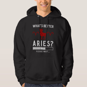 Aries Zodiac Sign March April Birthday Aries Men W Hoodie
