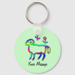 Aries Zodiac Star Sign Colour Line Key Ring