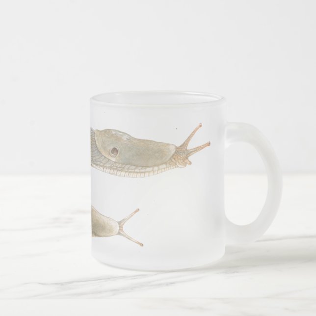 Ariolimax columbianus Watercolour mug (Right)