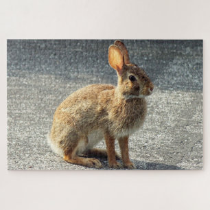 Arisdale Arts: Wild Rabbit Sitting on driveway Jigsaw Puzzle