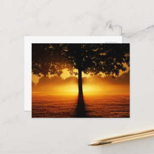Arise Postcard