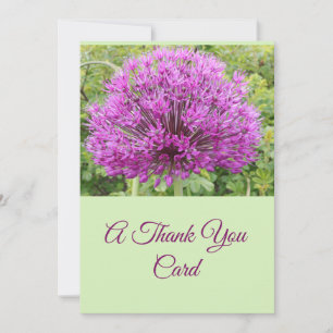 Aristocratic Purple Allium Thank You Card