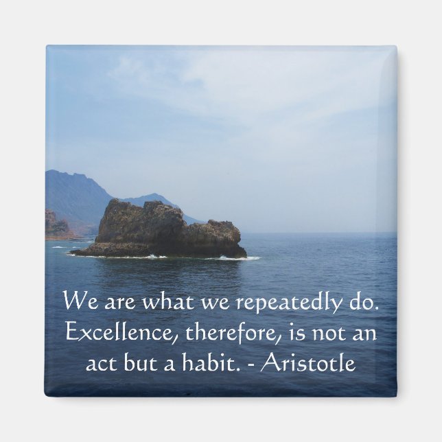 Aristotle Excellence Quotation Magnet (Front)