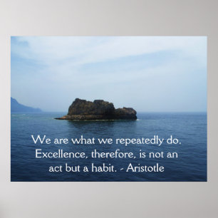 Aristotle Excellence Quotation Poster