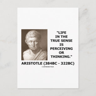 Aristotle Life True Sense Perceiving Or Thinking Postcard