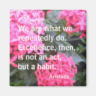 Aristotle Motivational Quotation Magnet