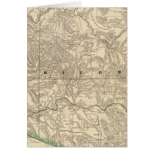 Arizona 7