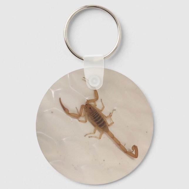 Arizona Bark Scorpion Key Ring (Front)