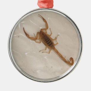 Arizona Bark Scorpion Metal Tree Decoration