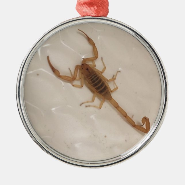 Arizona Bark Scorpion Metal Tree Decoration (Front)