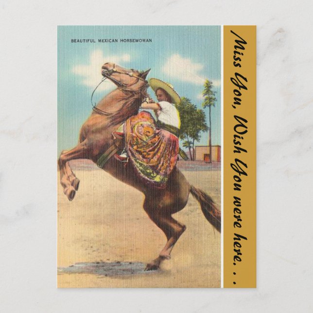 Arizona, Beautiful Mexican Horsewoman Postcard (Front)