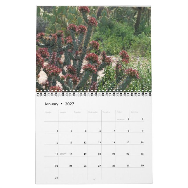 Arizona Cacti Calendar (Jan 2027)
