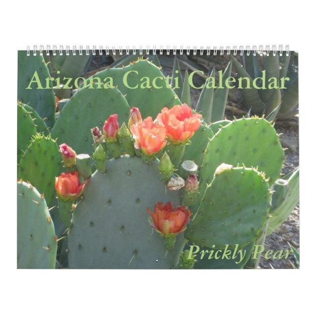 Arizona Cacti Calendar (Cover)