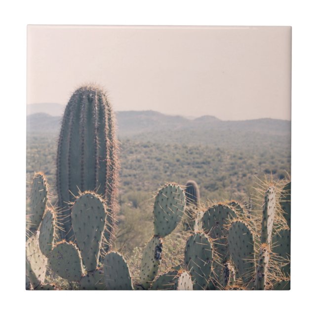 Arizona Cacti  | Desert Bohemian Landscape Photo Tile (Front)