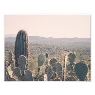 Arizona Cacti   Photo Print