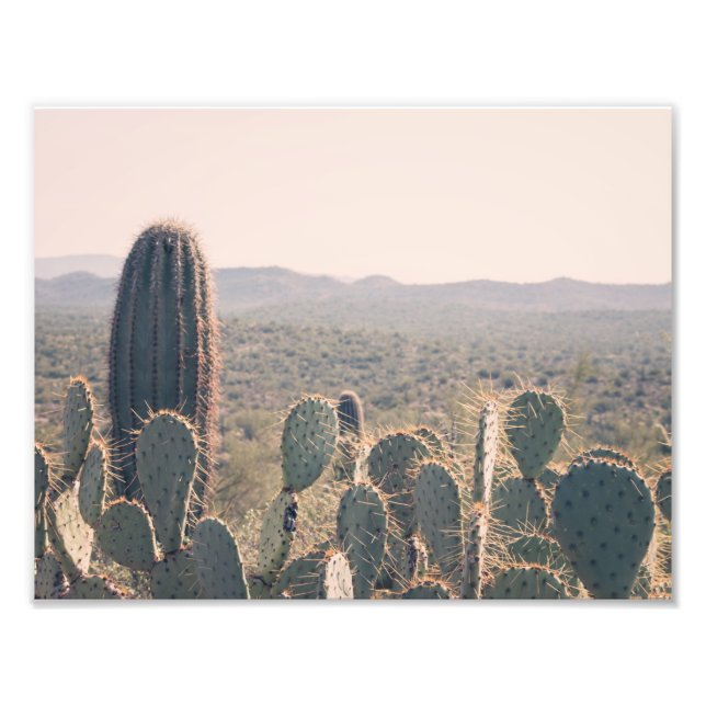 Arizona Cacti | Photo Print (Front)
