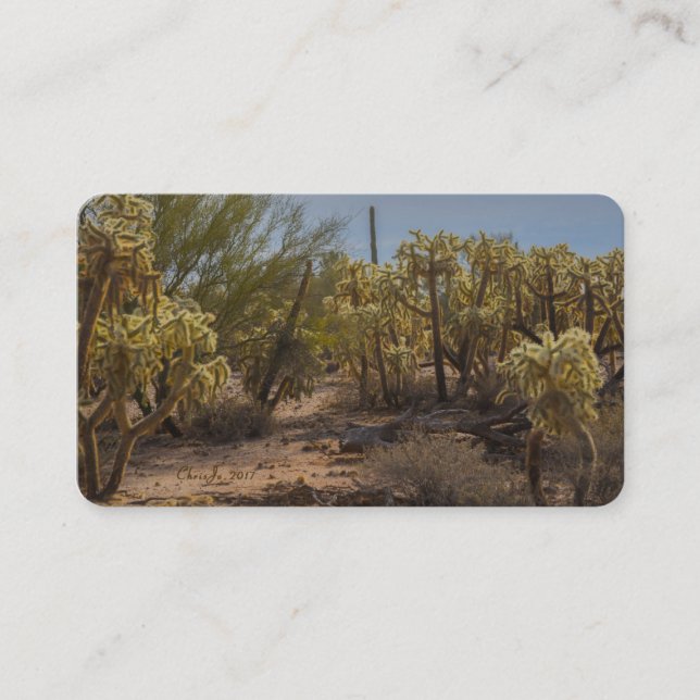 Arizona Cactus La Cholla Business Cards (Front)