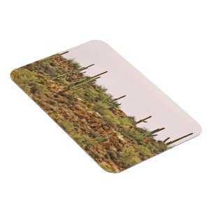 Arizona Cactus landscape Magnet