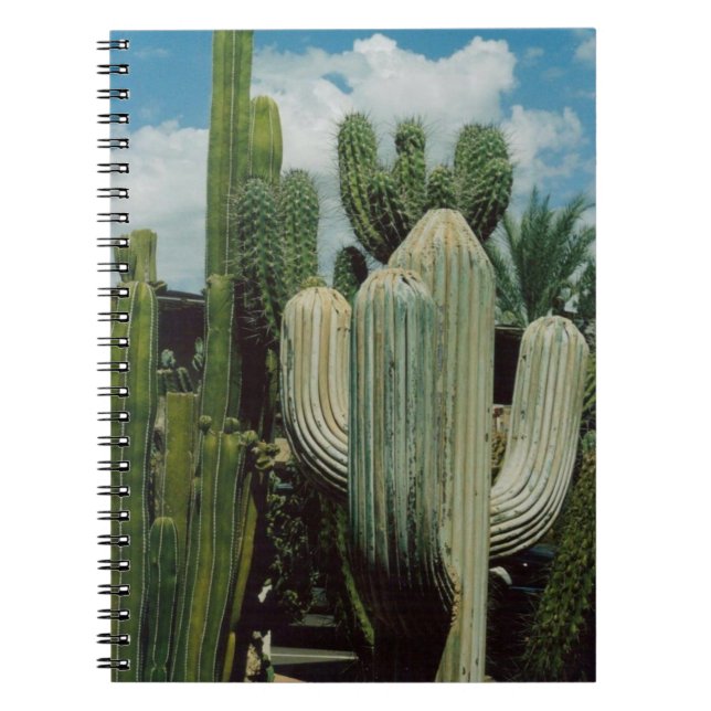 Arizona Cactus Notebook (Front)