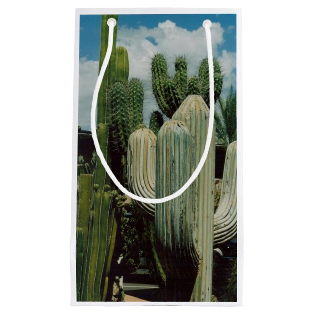 Arizona Cactus Small Gift Bag (Front)