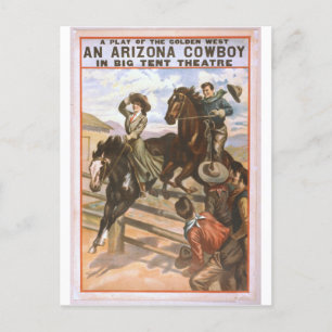 Arizona Cowboy Postcard