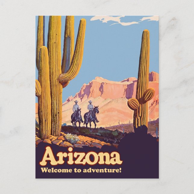 Arizona, Cowboys in the Desert, Cactus Postcard (Front)